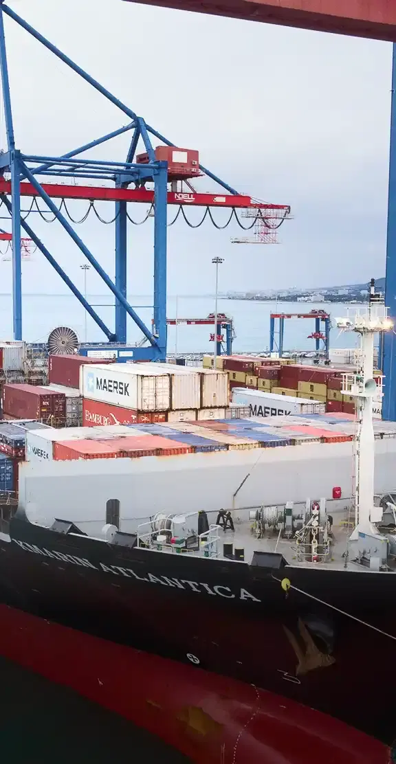 Trading & Import-Export